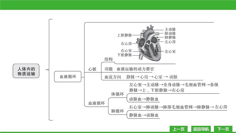 【新课标】北师大版生物七下 第9章章末复习(课件)05