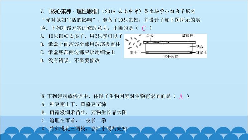 人教版生物七年级上册 第一单元 单元知识集中训练课件04