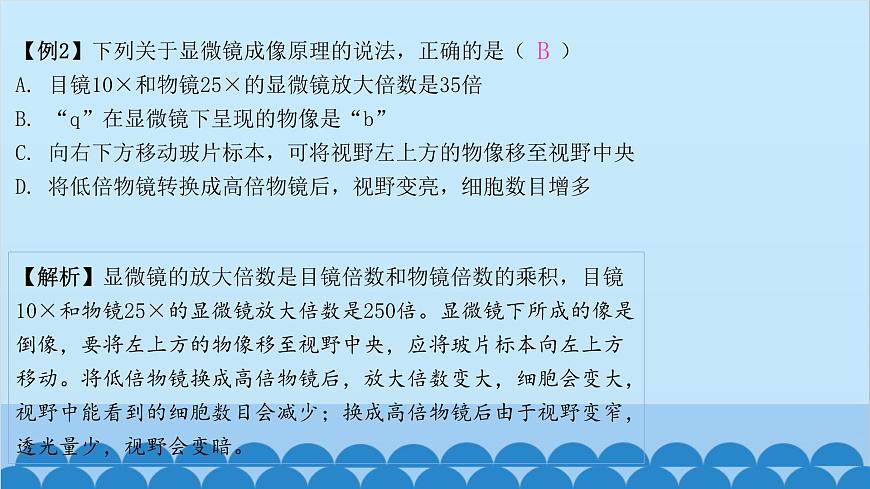 人教版生物七年級上冊 2.1.1 練習(xí)使用顯微鏡課件第4頁