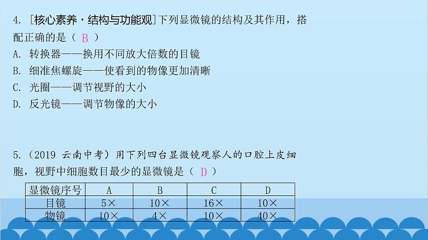 人教版生物七年級上冊 2.1.1 練習(xí)使用顯微鏡課件第6頁