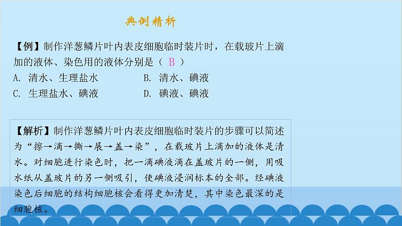 人教版生物七年级上册 2.1.2 植物细胞课件第3页