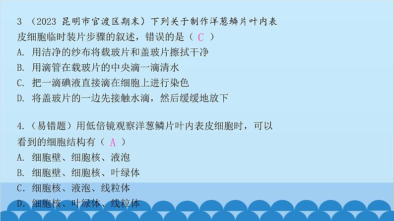 人教版生物七年级上册 2.1.2 植物细胞课件第5页