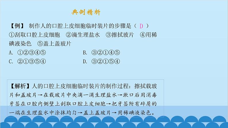 人教版生物七年级上册 2.1.3 动物细胞课件第3页