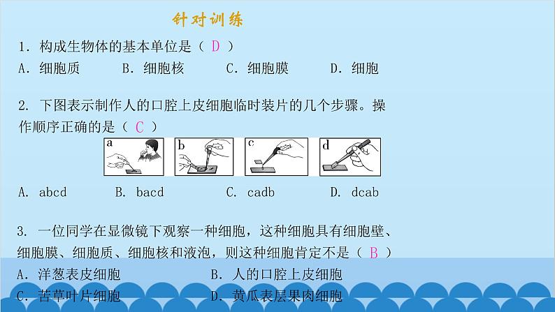 人教版生物七年级上册 2.1.3 动物细胞课件第4页