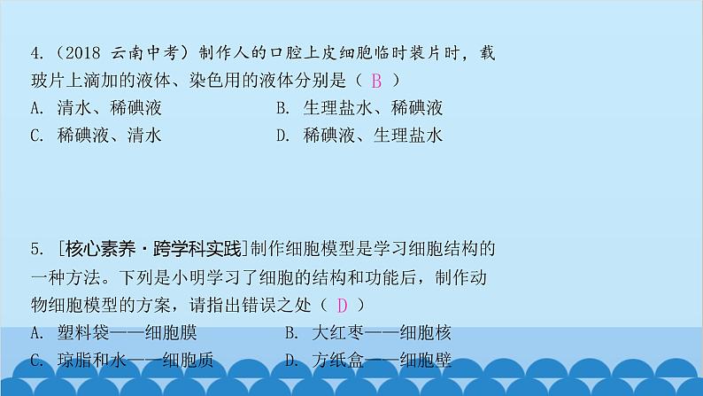 人教版生物七年级上册 2.1.3 动物细胞课件第5页