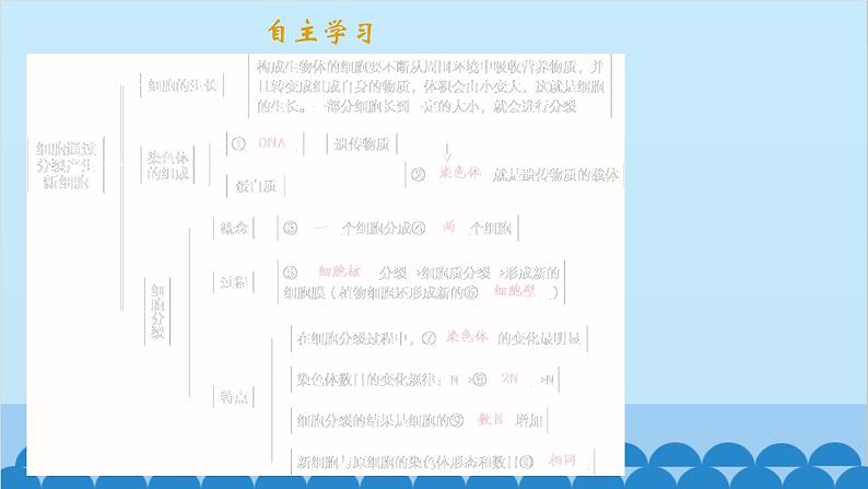 人教版生物七年级上册 2.2.1 细胞通过分裂产生新细胞课件第2页