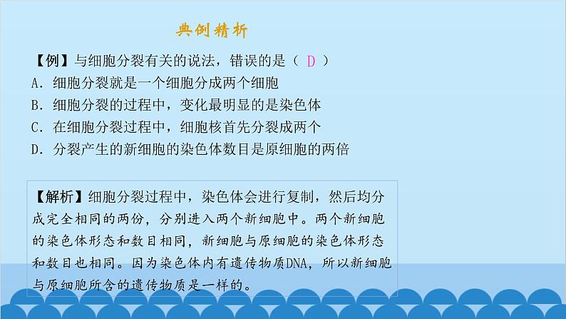 人教版生物七年级上册 2.2.1 细胞通过分裂产生新细胞课件第3页