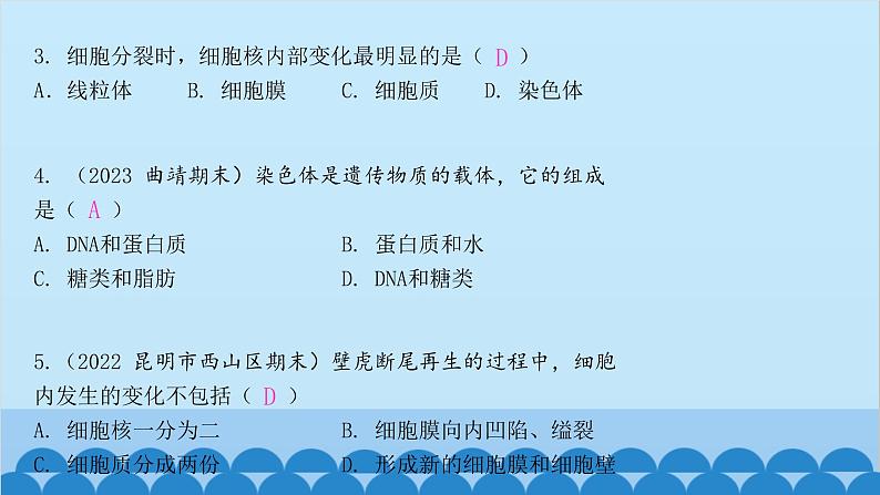 人教版生物七年级上册 2.2.1 细胞通过分裂产生新细胞课件第5页