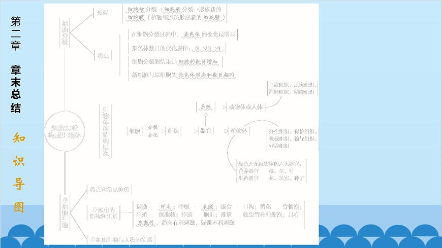 人教版生物七年級上冊 第二單元第二章 章末總結(jié)課件第1頁