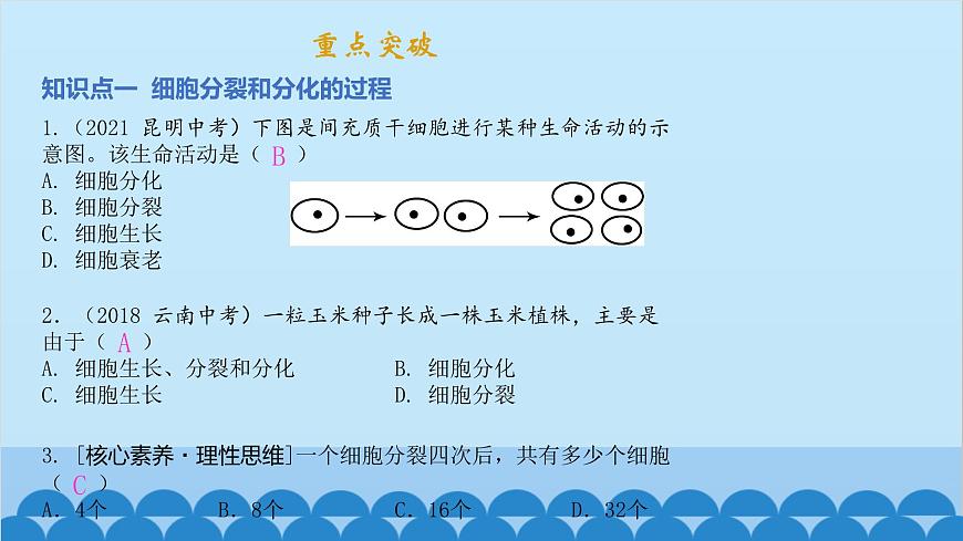 人教版生物七年級上冊 第二單元第二章 章末總結(jié)課件第2頁