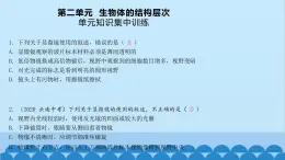 人教版生物七年级上册 第二单元 单元知识集中训练课件