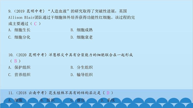 人教版生物七年级上册 第二单元 单元知识集中训练课件第4页