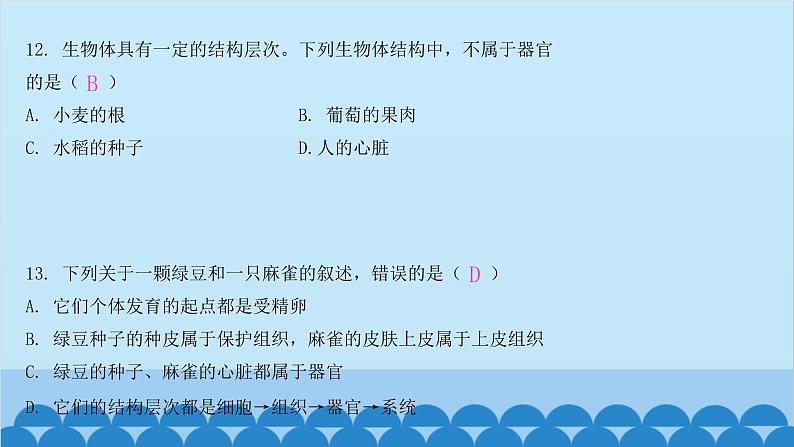人教版生物七年级上册 第二单元 单元知识集中训练课件第5页
