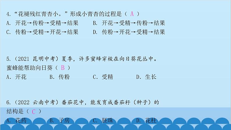 人教版生物七年级上册 3.2.3 开花和结果课件第5页