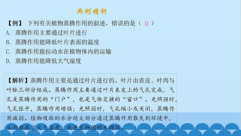 人教版生物七年级上册 3.3 绿色植物与生物圈的水循环课件03