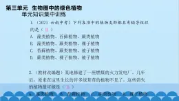 人教版生物七年级上册 第三单元 单元知识集中训练课件