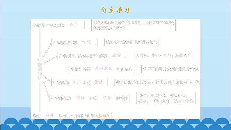 人教版生物七年级上册 全册课件02
