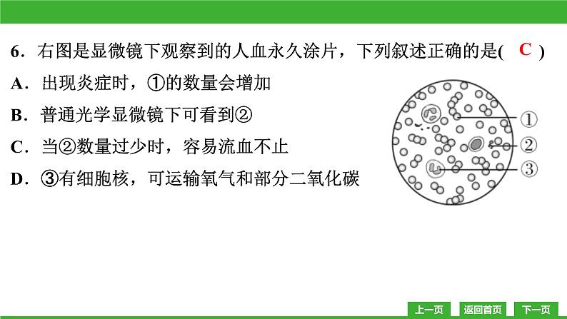 【新课标】北师大版生物七下 第9章教学质量监测卷(课件)06