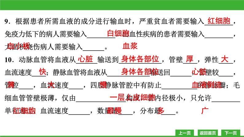 【新课标】北师大版生物七下  期末复习卷（课件）07