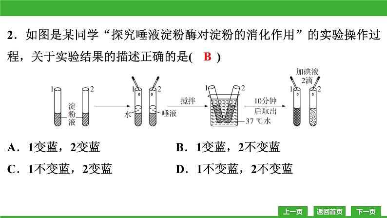 【新课标】北师大版生物七下 期末教学质量监测卷(课件)第3页