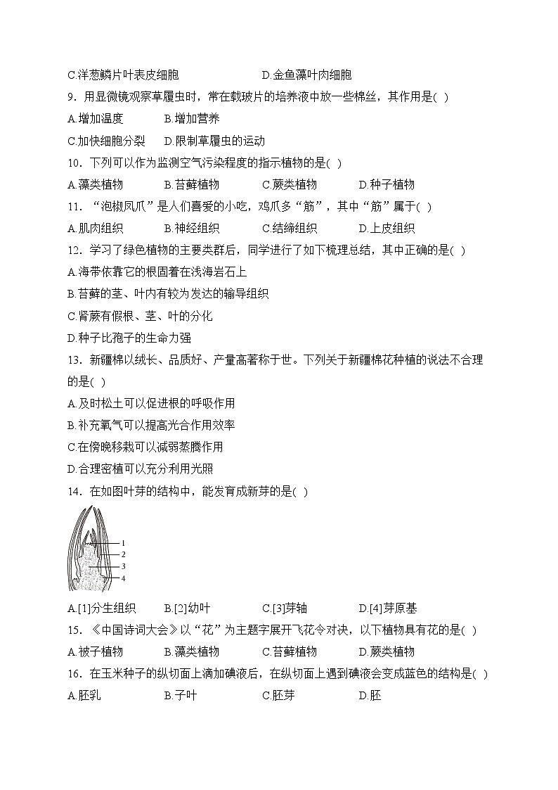 河北省石家庄市藁城区2023-2024学年七年级上学期期末考试生物试卷(含答案)第2页