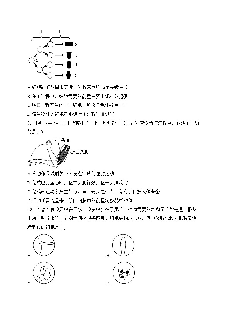 内蒙古呼伦贝尔市海拉尔区2023年中考一模生物试卷(含答案)第2页