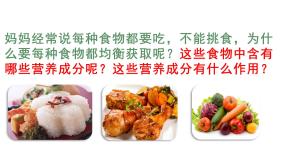 初中生物人教版 (新课标)七年级下册第一节 食物中的营养物质授课ppt课件