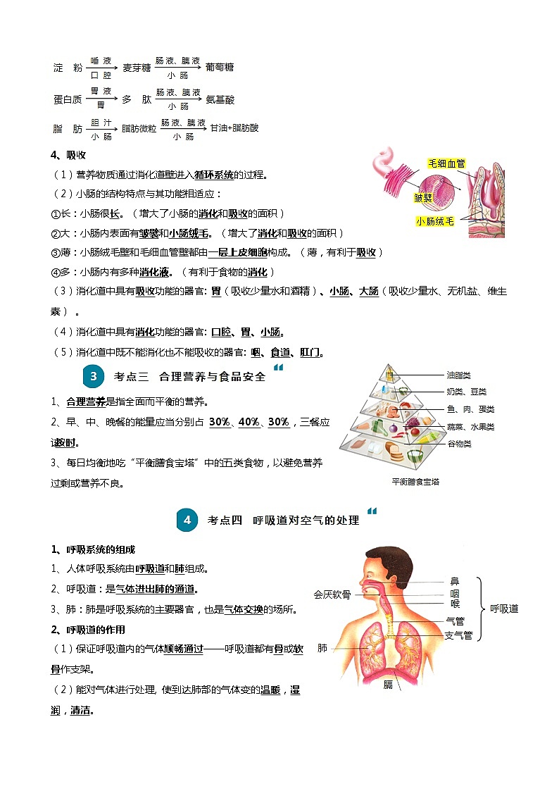 【2024会考】初中生物一轮复习知识清单 05 人体的营养与呼吸(5大考点+5大高频命题点)03