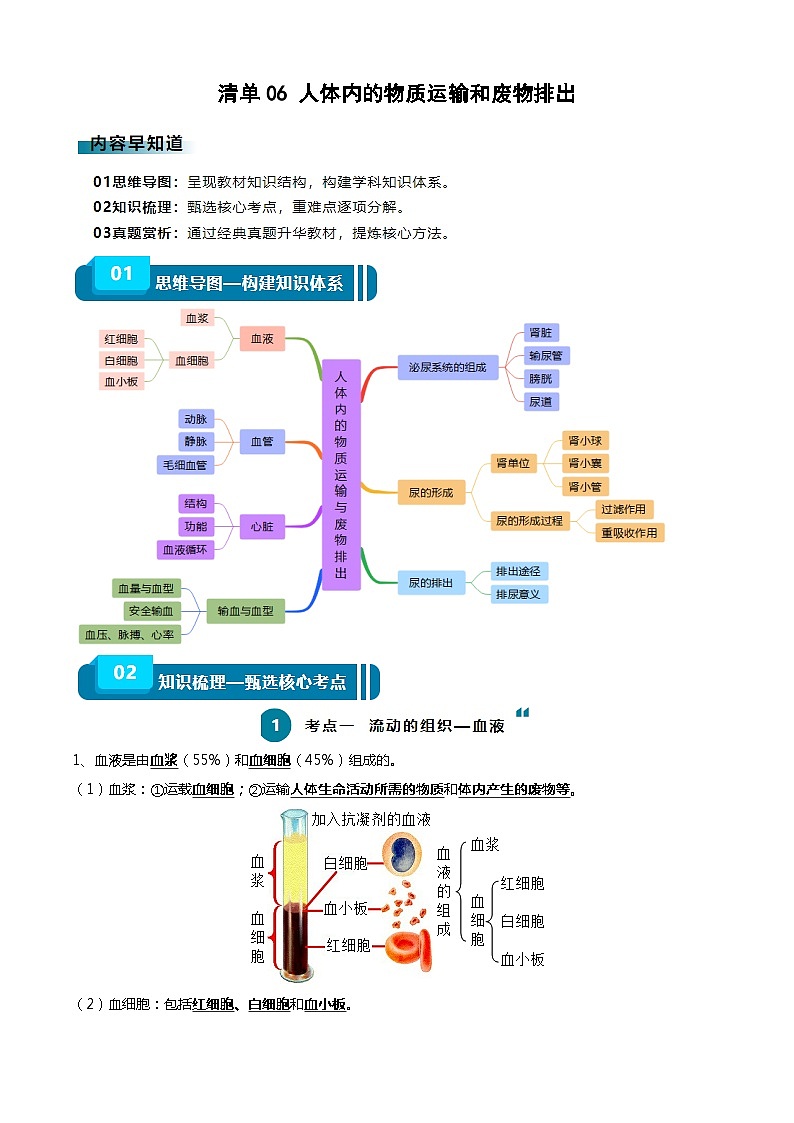 【2024会考】初中生物一轮复习知识清单 06 人体内的物质运输与废物排出(6大考点+6大高频命题点)01