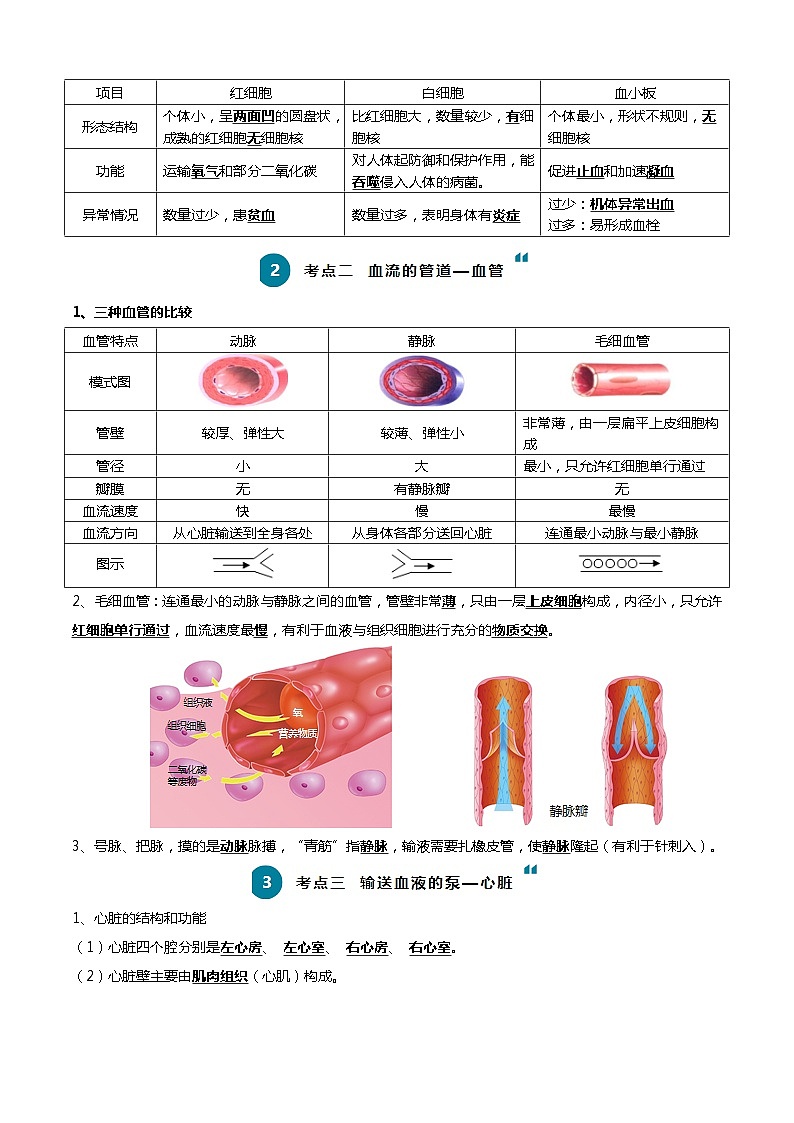 【2024会考】初中生物一轮复习知识清单 06 人体内的物质运输与废物排出(6大考点+6大高频命题点)02