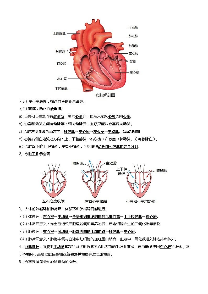 【2024会考】初中生物一轮复习知识清单 06 人体内的物质运输与废物排出(6大考点+6大高频命题点)03