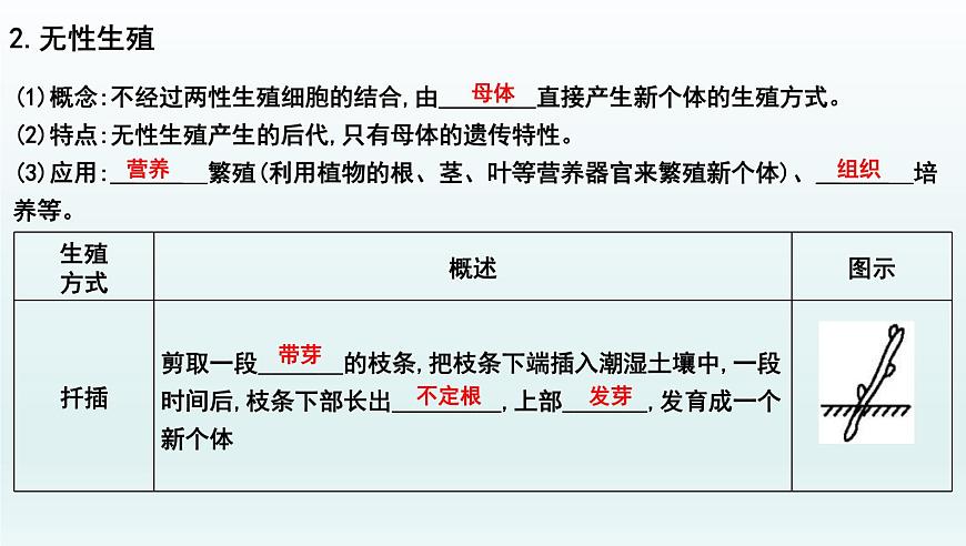 中考生物一轮复习考点通关课件专题24 生物的生殖和发育(含答案)第5页