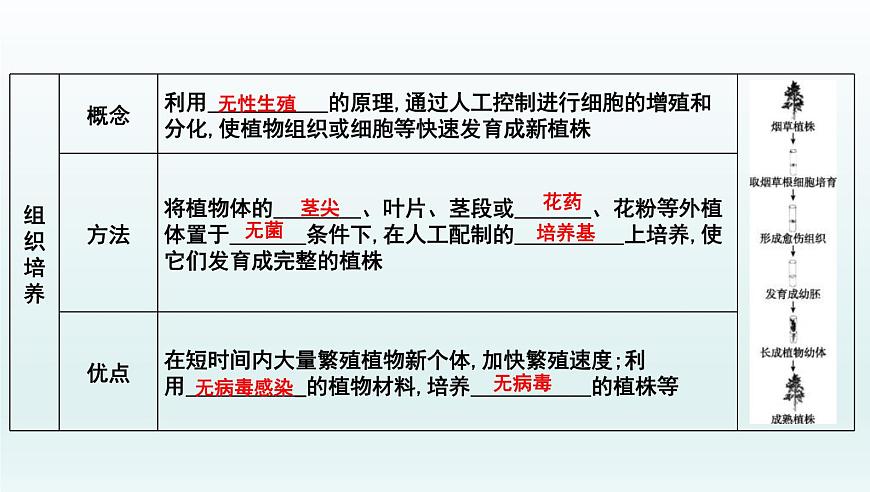 中考生物一轮复习考点通关课件专题24 生物的生殖和发育(含答案)第7页