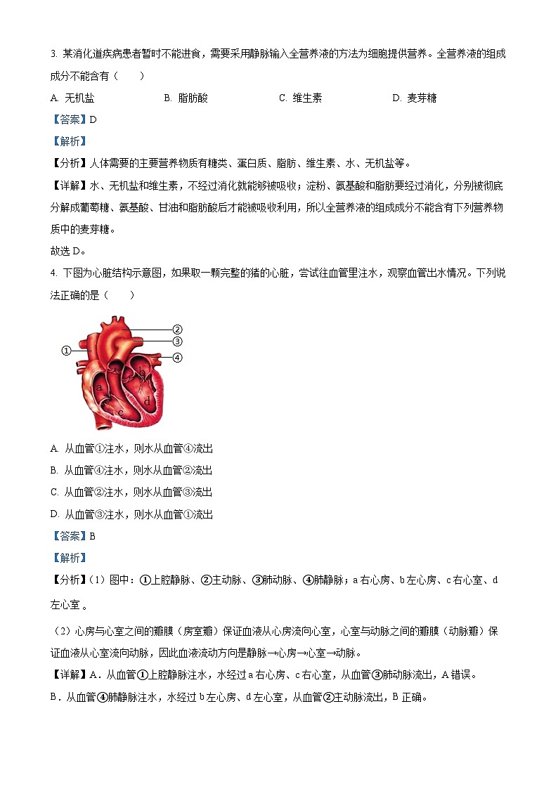江西省丰城中学2023-2024学年七年级下学期3月月考生物试题(解析版)第2页