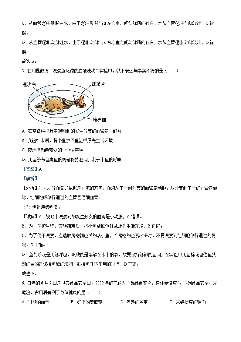 江西省丰城中学2023-2024学年七年级下学期3月月考生物试题(解析版)第3页