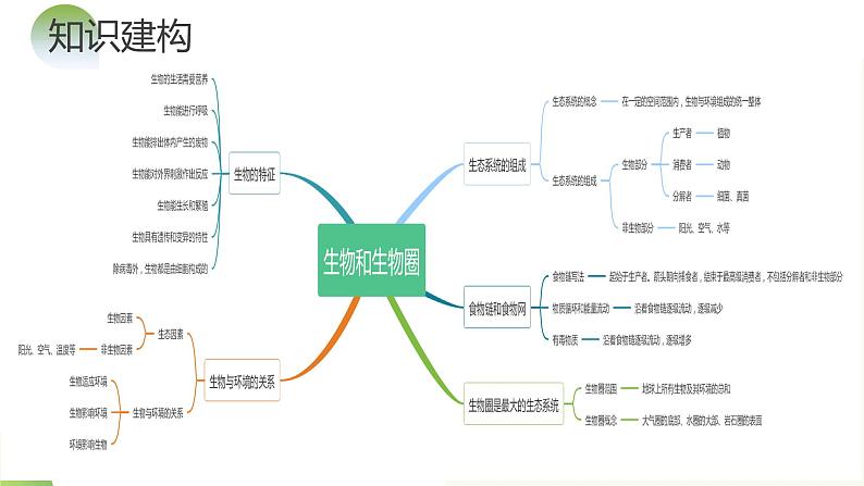 【2024年会考】初中生物一轮复习讲练测(全国通用)专题01 生物和生物圈(课件)06
