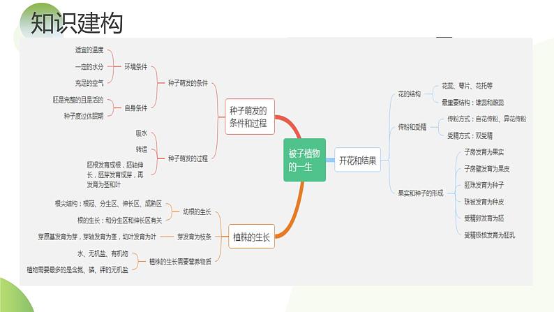【2024年会考】初中生物一轮复习讲练测(全国通用)专题05 被子植物的一生(课件)06