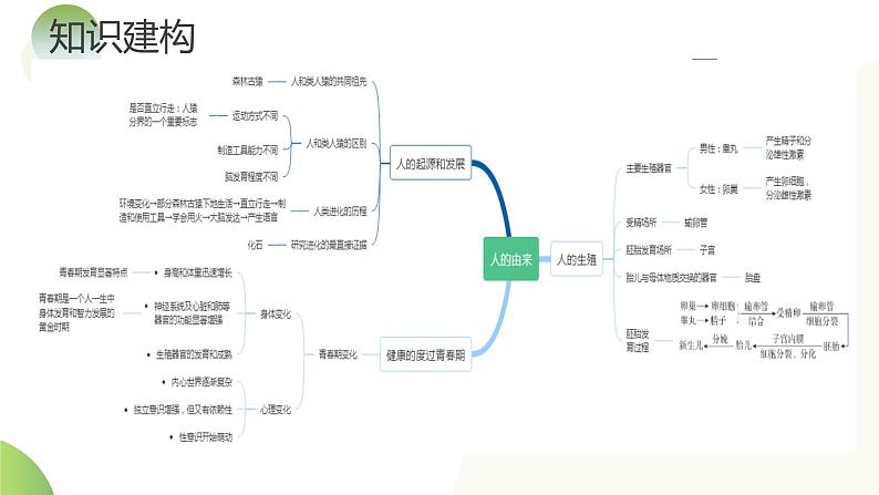 【2024年会考】初中生物一轮复习讲练测(全国通用)专题09 人的由来(课件)06