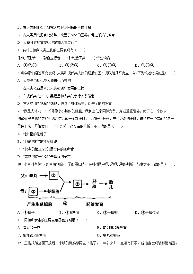 【2024会考】初中生物 专题09 人的由来-练习(原卷+解析版)02