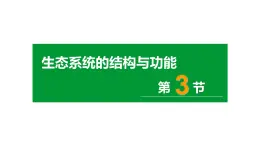 23.3生态系统的结构和功能课件2023--2024学年北师大版生物八年级下册