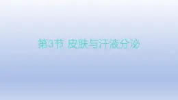 11.3+皮肤与汗液分泌+课件2023--2024学年北师大版生物七年级下册