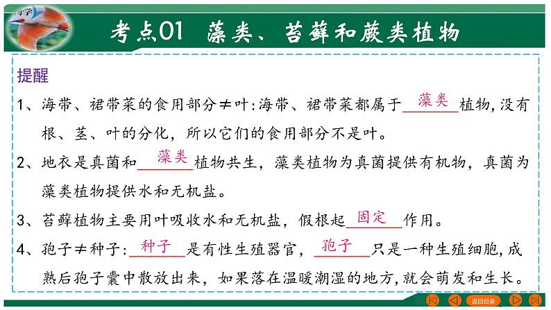 【2024年会考】初中生物 专题04 生物圈中有哪些绿色植物-课件08