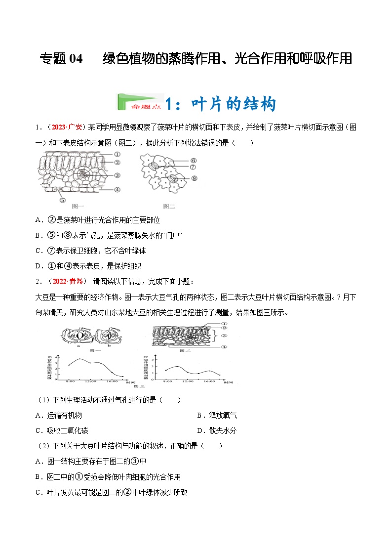 【2024会考】初中生物会考真题汇编 专题04 绿色植物的蒸腾作用、光合作用和呼吸作用（原卷+解析版）