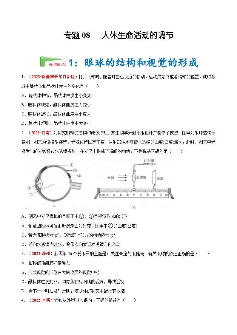 【2024会考】初中生物会考真题汇编 专题08 人体生命活动的调节（原卷+解析版）