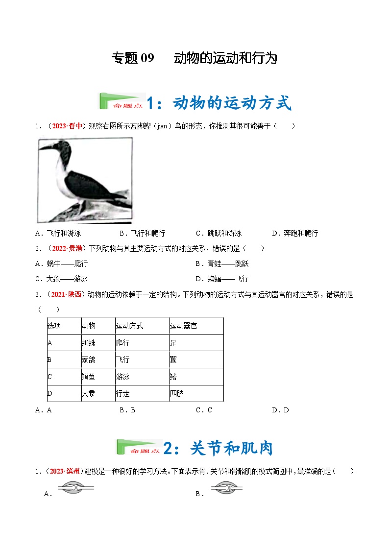 【2024会考】初中生物会考真题汇编 专题09 动物的运动和行为（原卷+解析版）