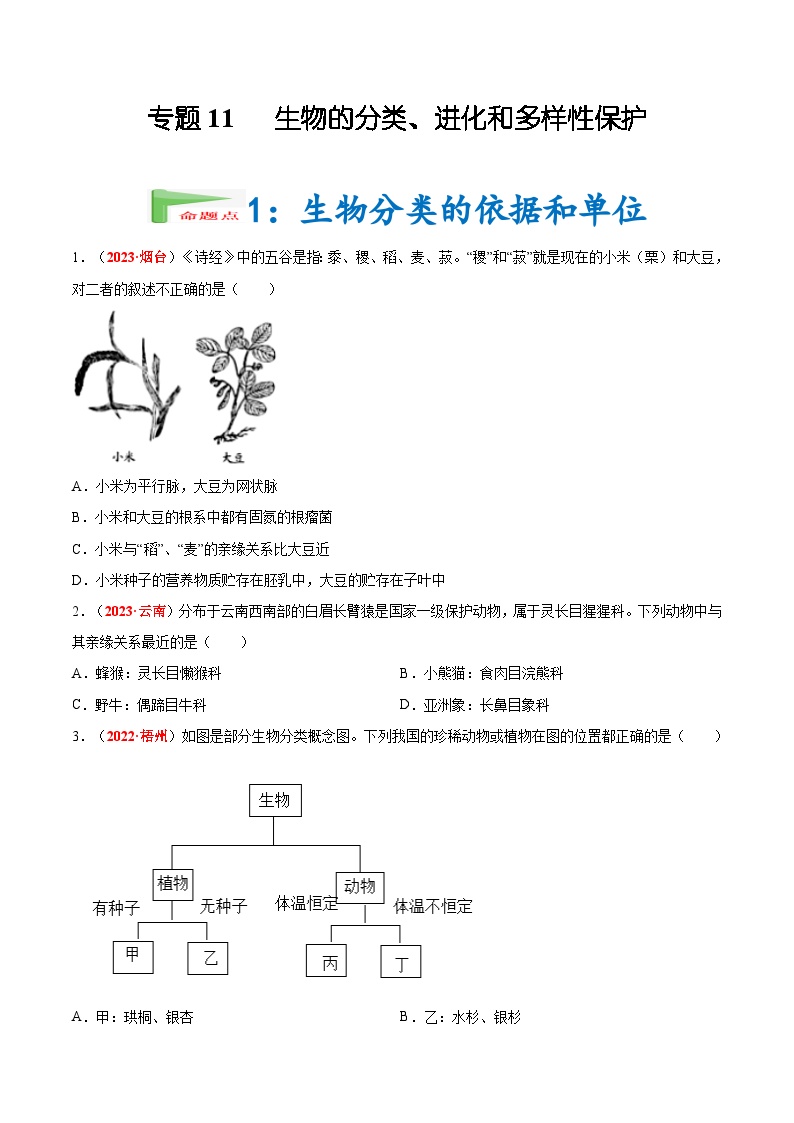 【2024会考】初中生物会考真题汇编 专题11 生物的分类、进化和多样性保护（原卷+解析版）