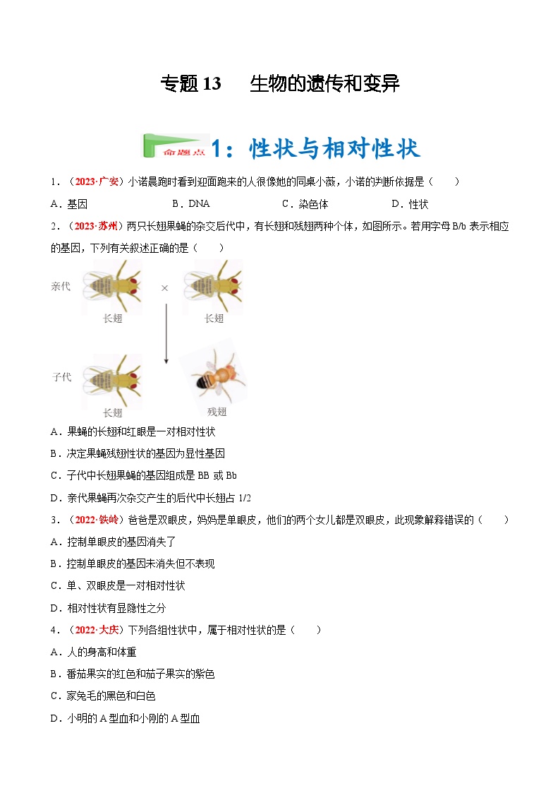 【2024会考】初中生物会考真题汇编 专题13 生物的遗传和变异（原卷+解析版）