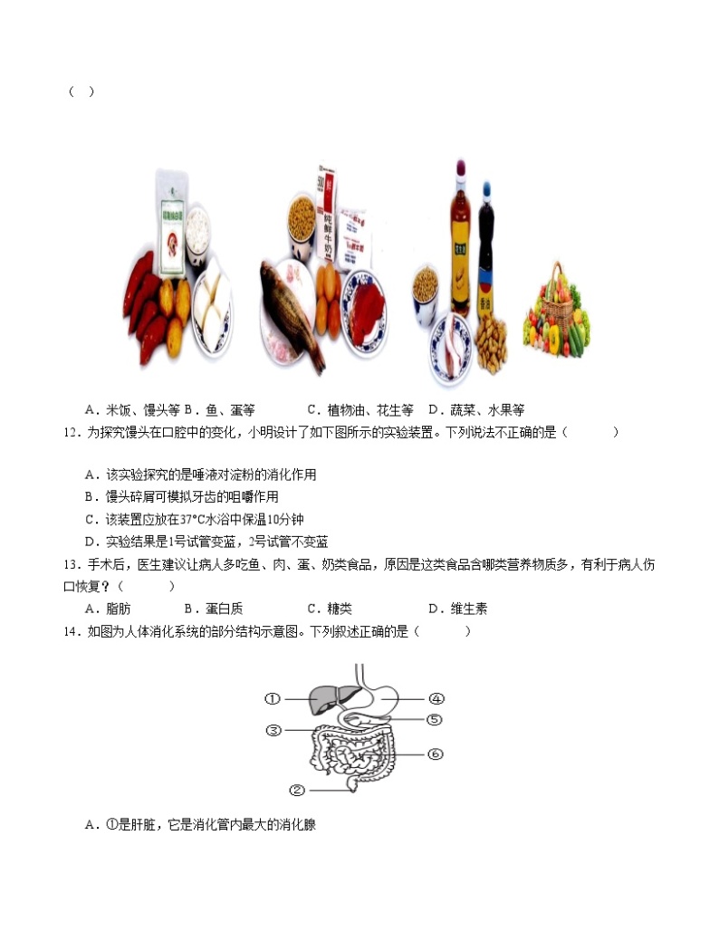 2023-2024学年初中下学期期中考试 七年级生物期中模拟卷（深圳专用）03