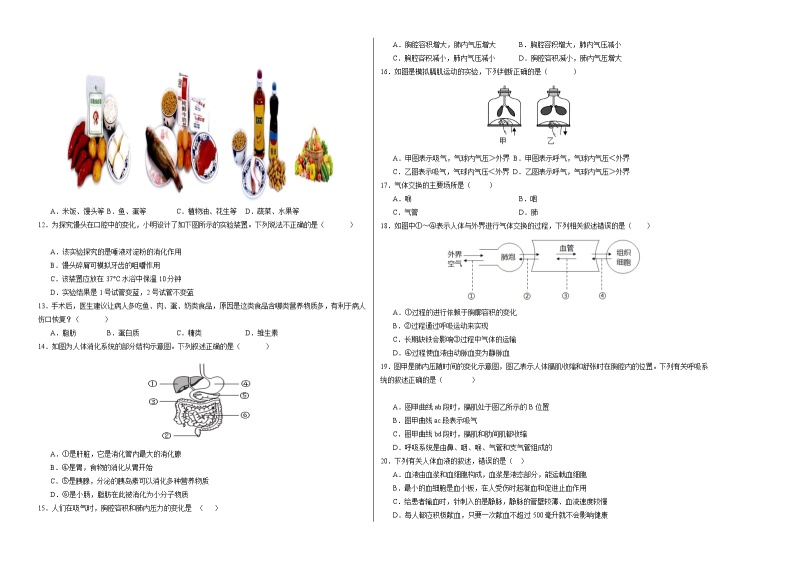 2023-2024学年初中下学期期中考试 七年级生物期中模拟卷（深圳专用）02