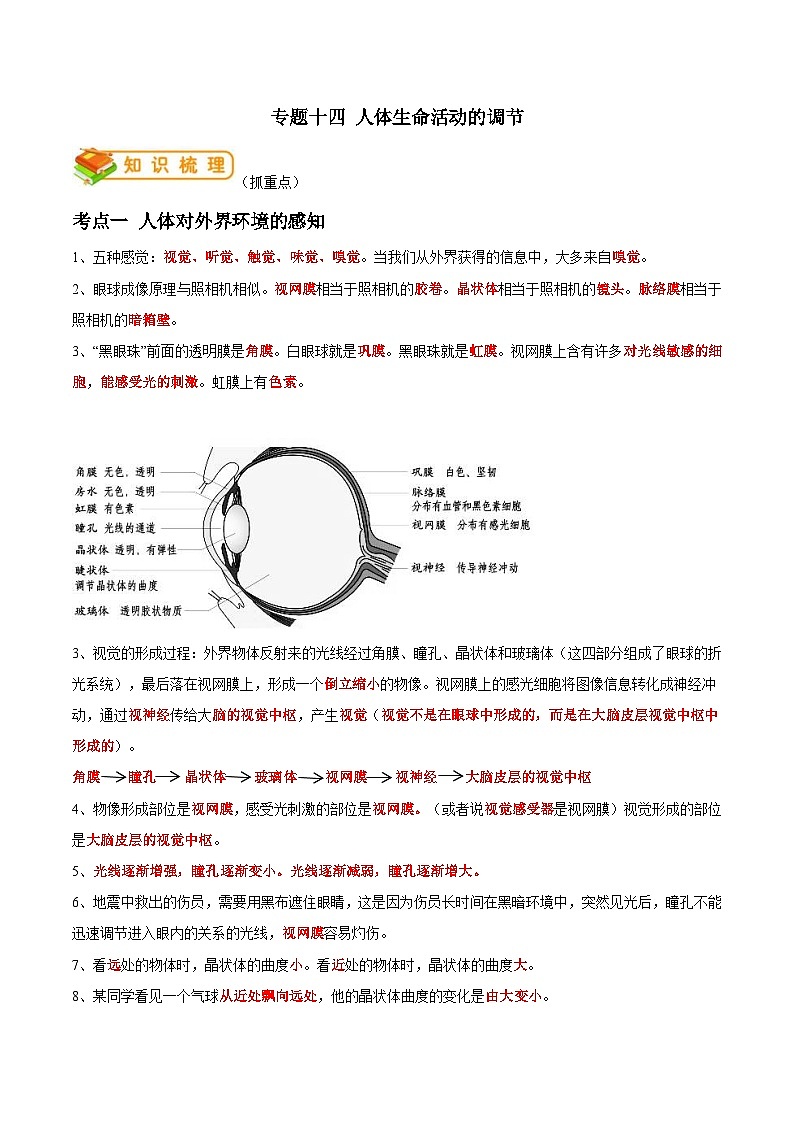 中考生物一轮复习抓重点考典型专题14 人体生命活动的调节(含解析)第1页